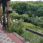 Bee *