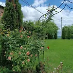 Bee * Visoko