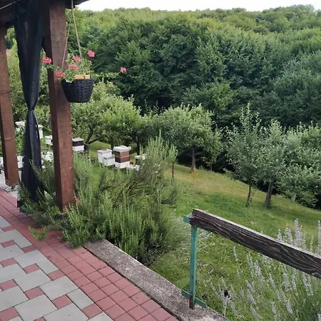 Bee *