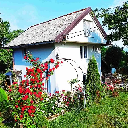 Bee Visoko