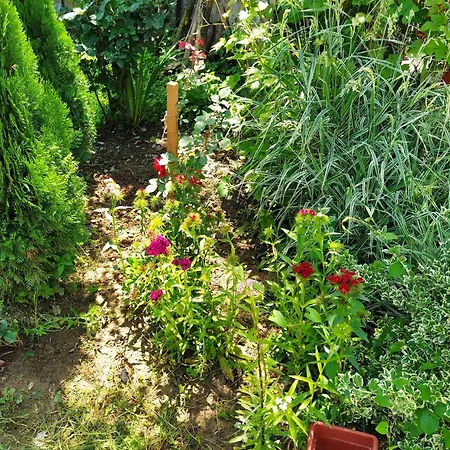 Bee Prázdninový dům