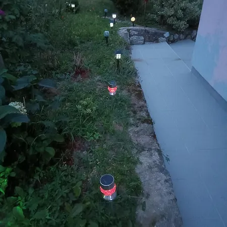 Bee *