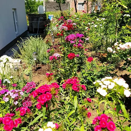 Prázdninový dům Bee Visoko