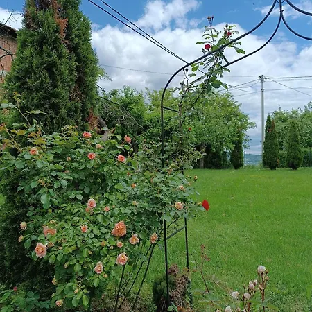 Bee * Visoko